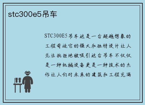 stc300e5吊车