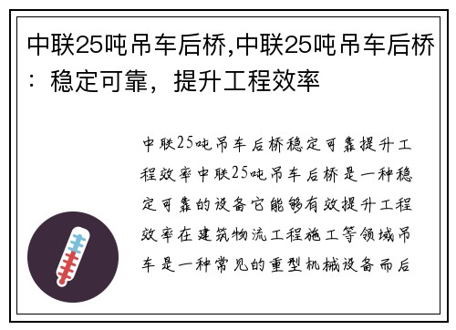 中联25吨吊车后桥,中联25吨吊车后桥：稳定可靠，提升工程效率