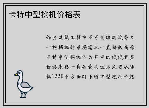 卡特中型挖机价格表