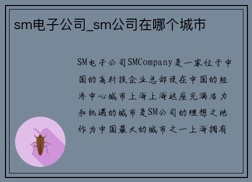sm电子公司_sm公司在哪个城市